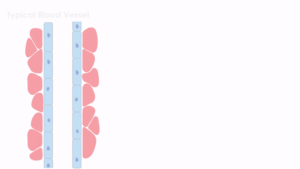 Load video: Watch the circulation provided from the Doctors Cyclo Massage.  Doctors Cyclo Massage inserts into one of three foam receptors for ease of use on feet, back, neck, legs, arms or anywhere you experience muscle fatigue, joint stiffness, or nerve pain.